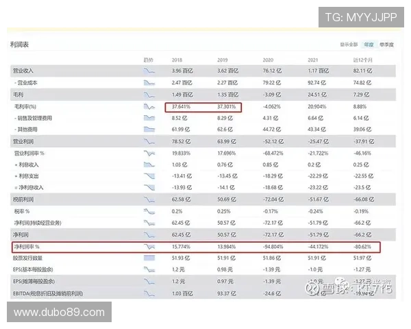 深入了解澳门永利公司：其业务范围与发展历程